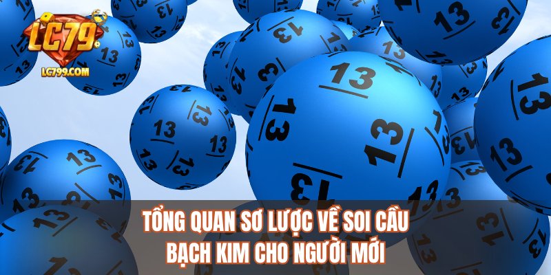 Tổng quan sơ lược về soi cầu bạch kim cho người mới